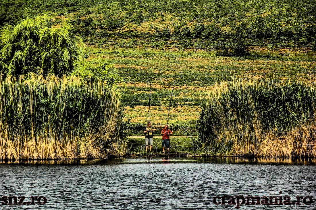 Cupa Seniorilor 2013 - 1011106hdrmode2.JPG